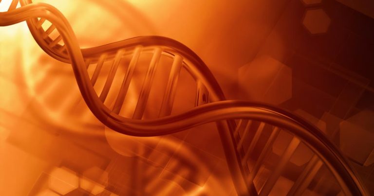 Karzigenoität in GHS