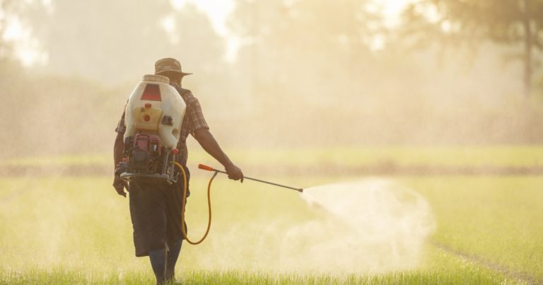 Was sind Persistente organische Schadstoffe (POP)?